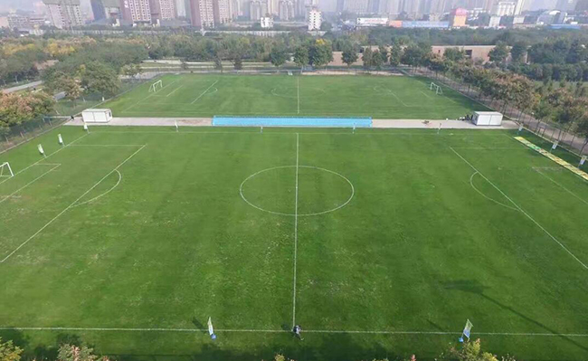 为什么越来越多的学校更喜欢“安全性”更高的人造草坪呢？