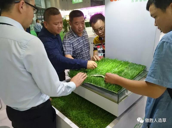 体博会 体博会