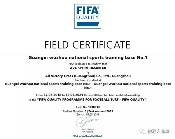 FIFA场地 FIFA场地